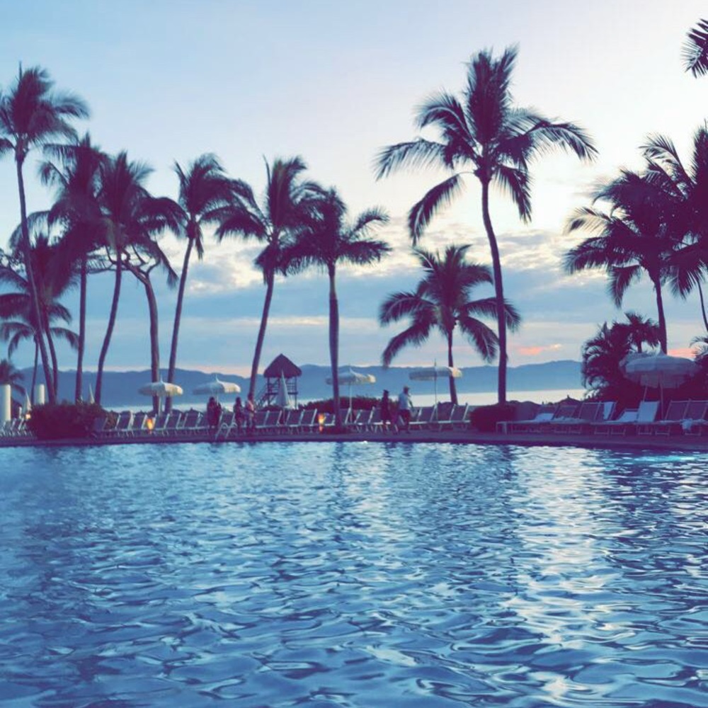 Meet your Posher, Olivia